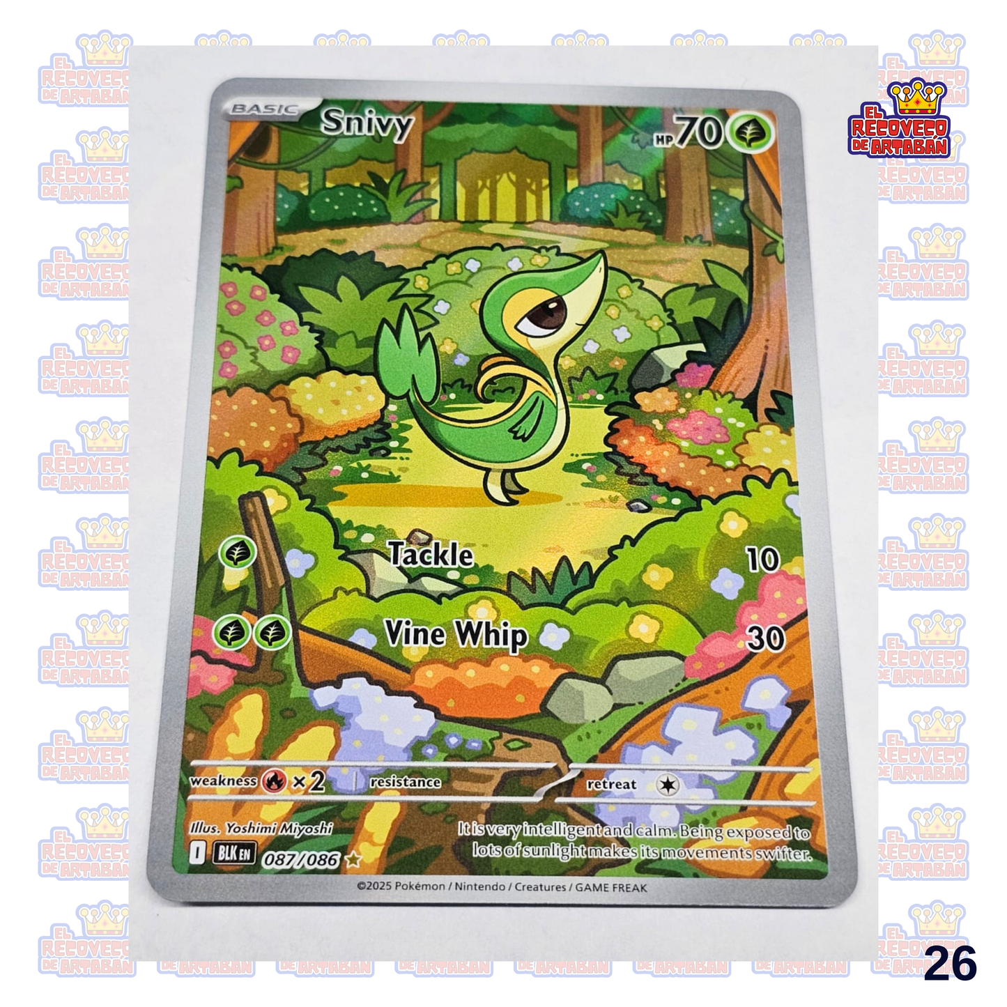Snivy Black Bolt Illustration Rare 087/086